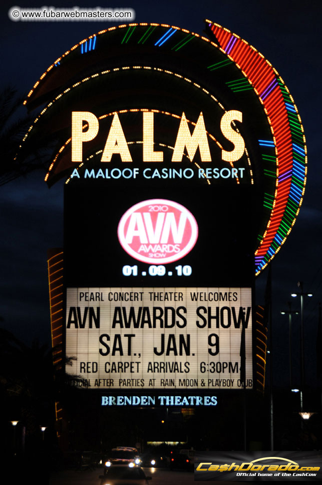AVN Awards Red Carpet