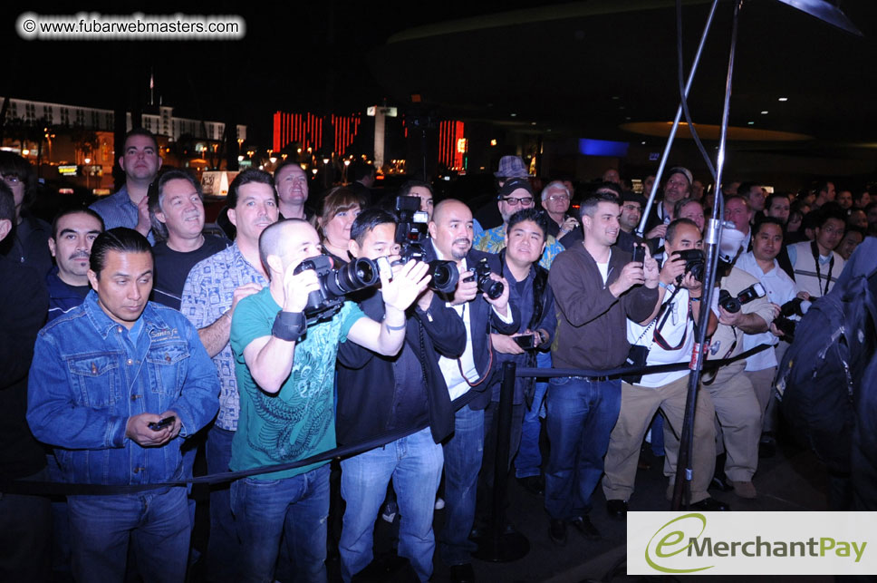 AVN Awards Red Carpet