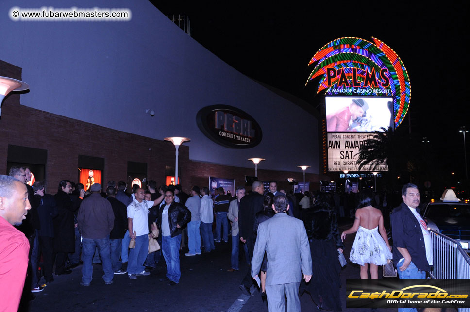 AVN Awards Red Carpet