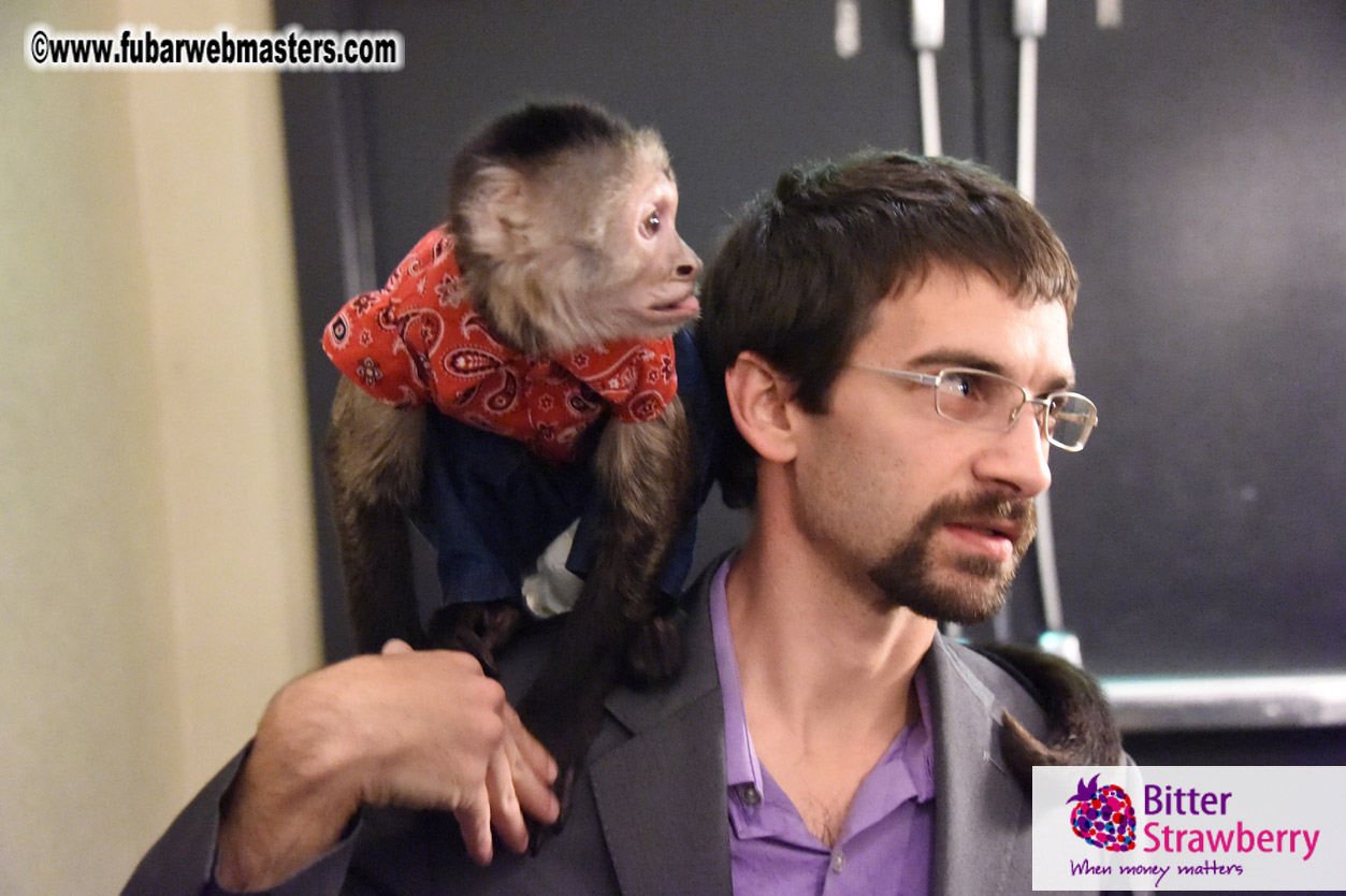 MojoHost Suite Party