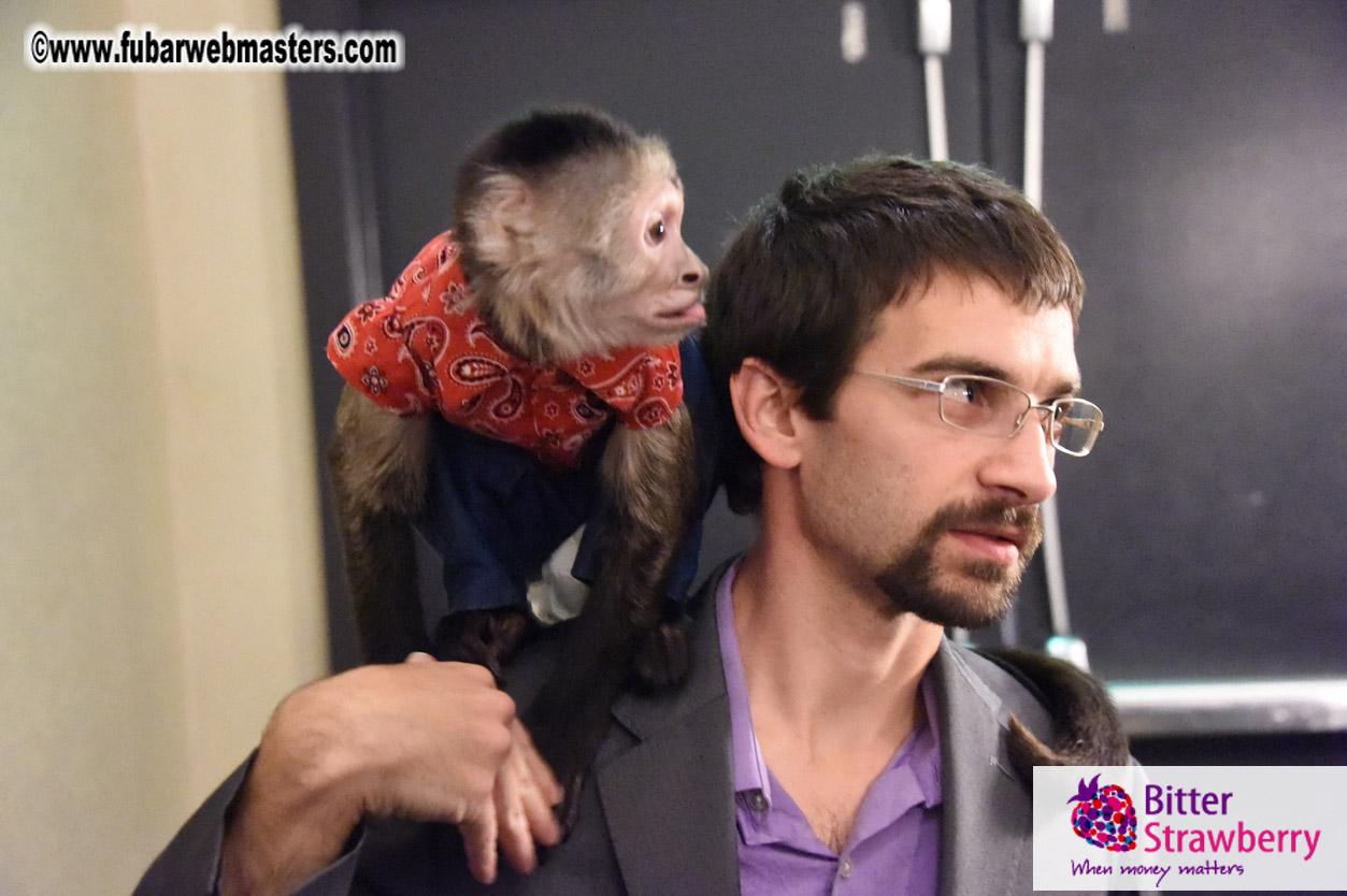 MojoHost Suite Party