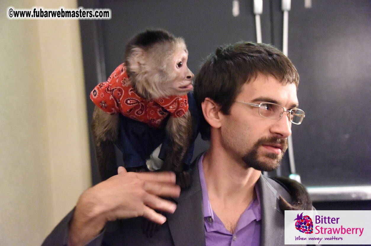 MojoHost Suite Party