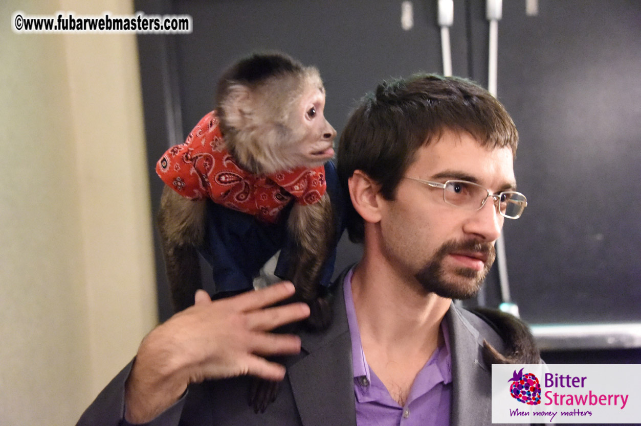 MojoHost Suite Party