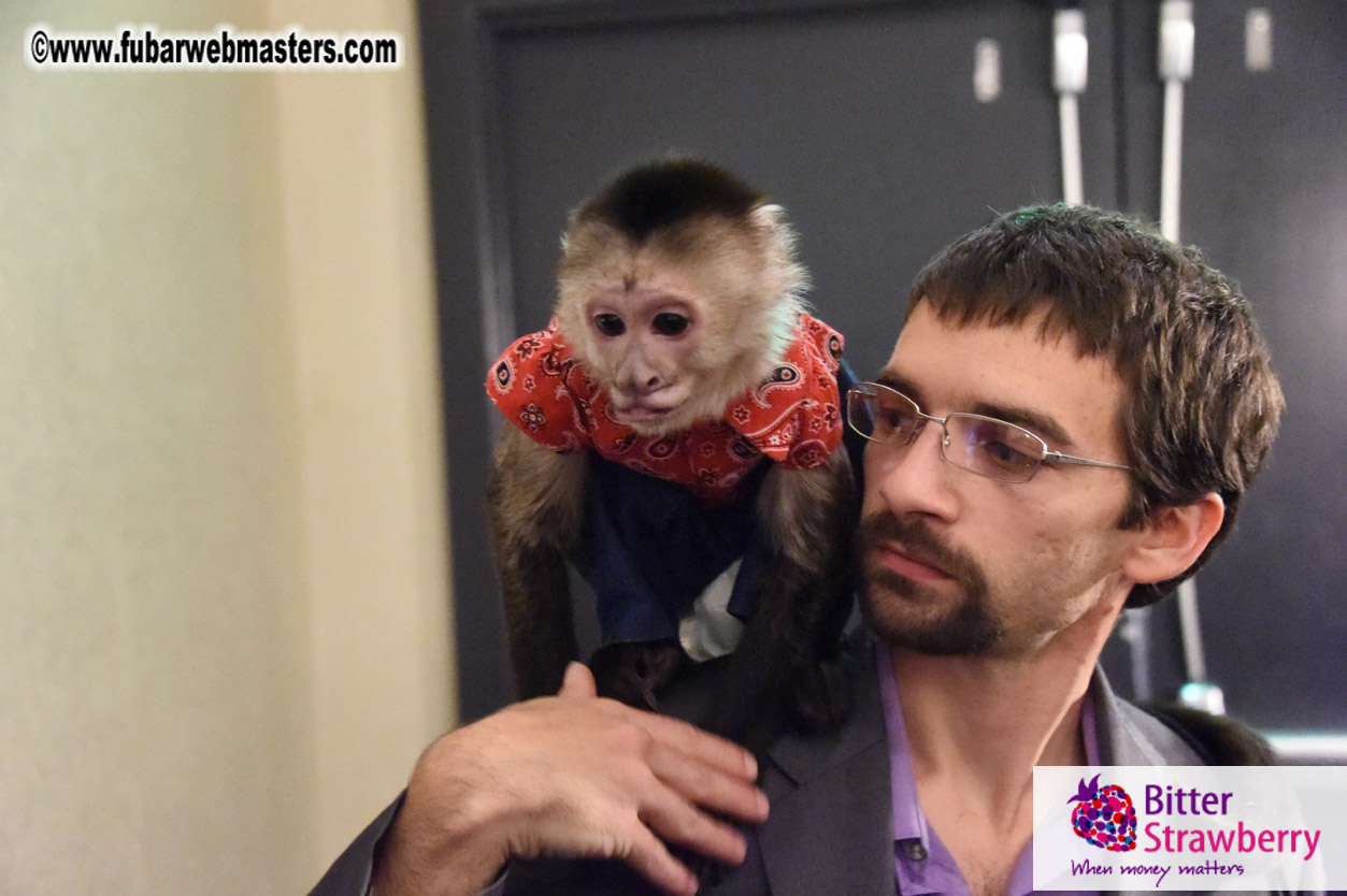 MojoHost Suite Party