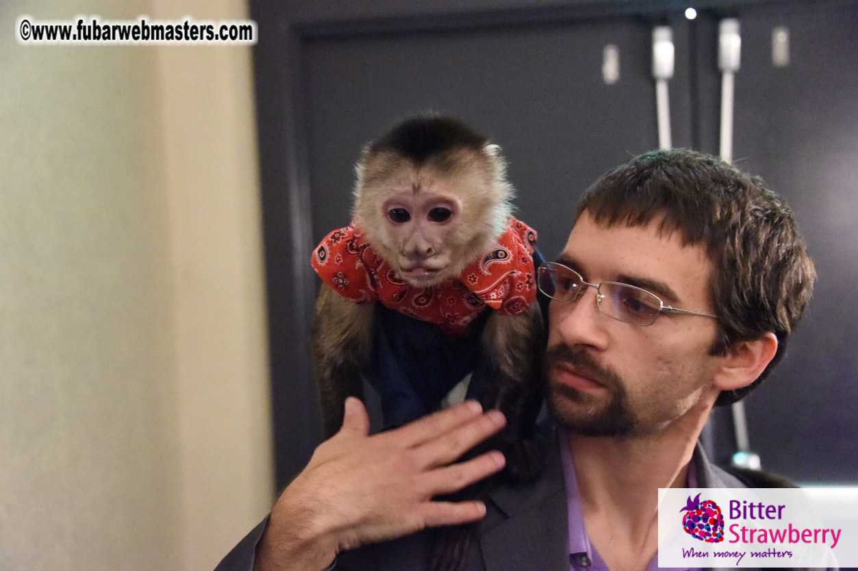 MojoHost Suite Party