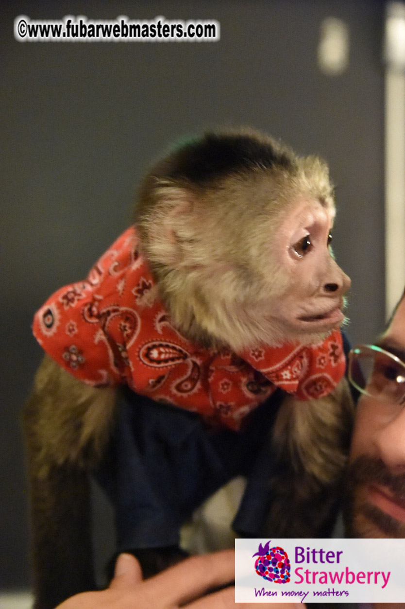 MojoHost Suite Party