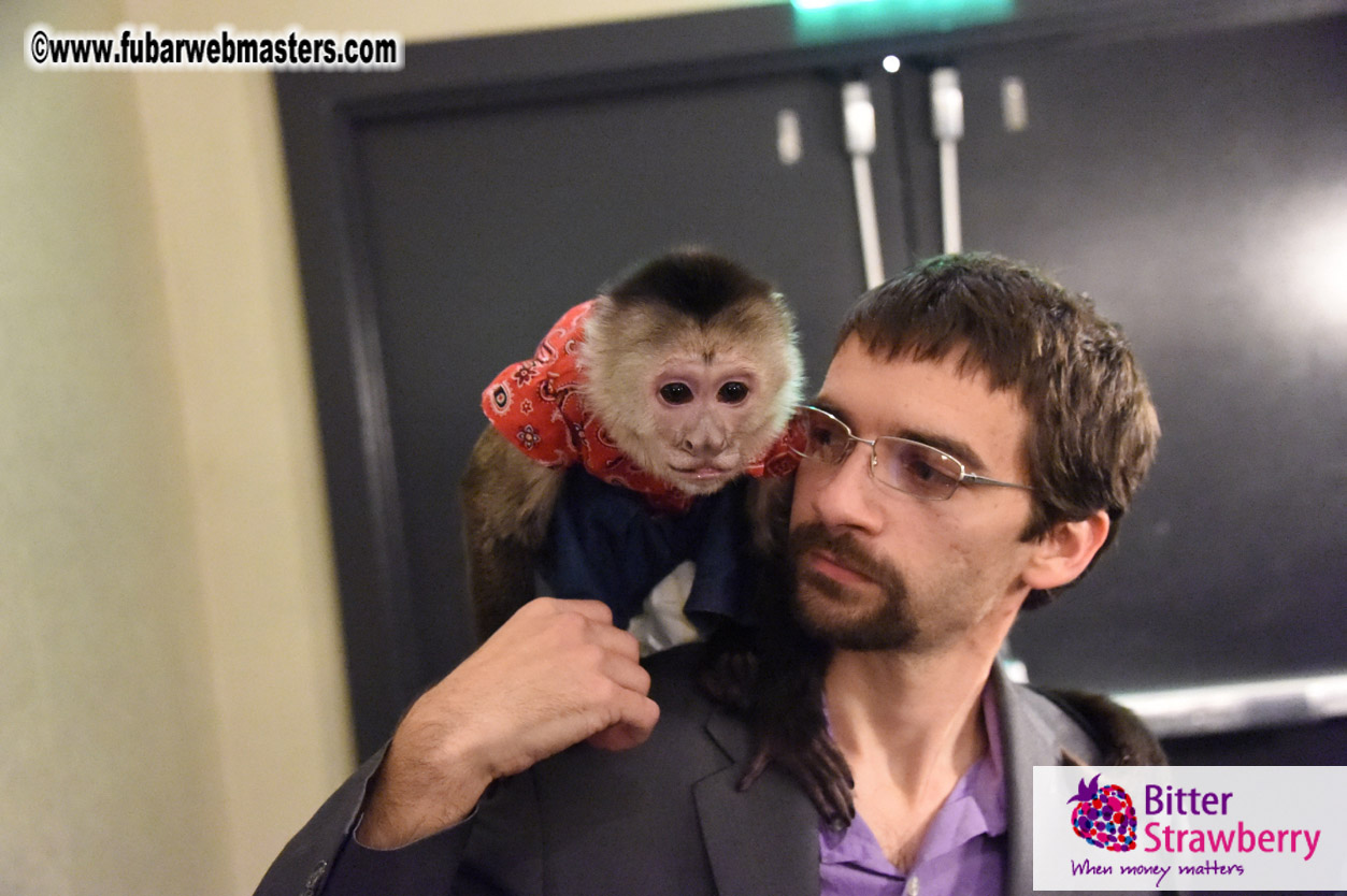 MojoHost Suite Party