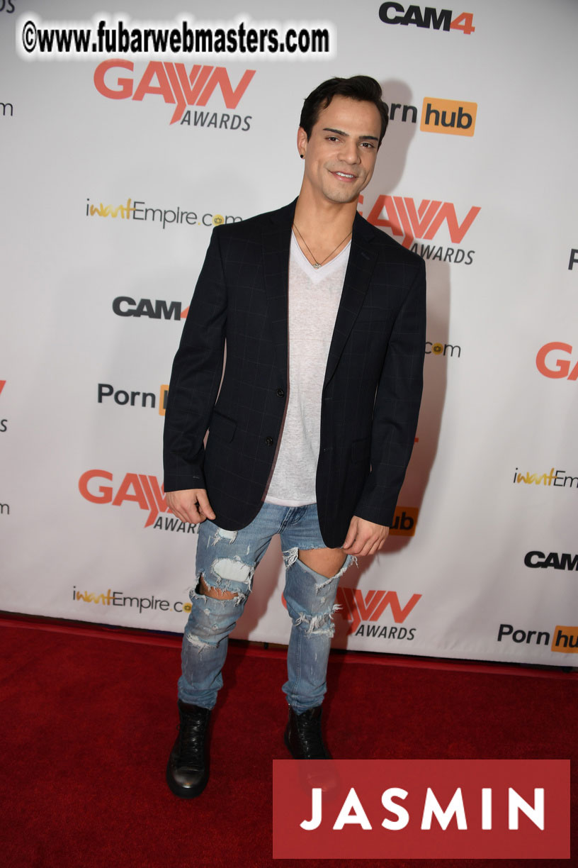GayVN Awards