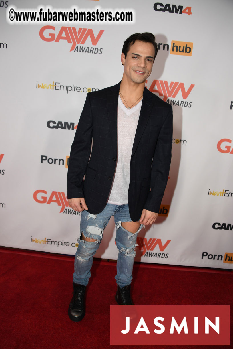 GayVN Awards