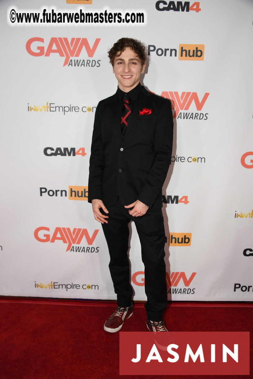 GayVN Awards