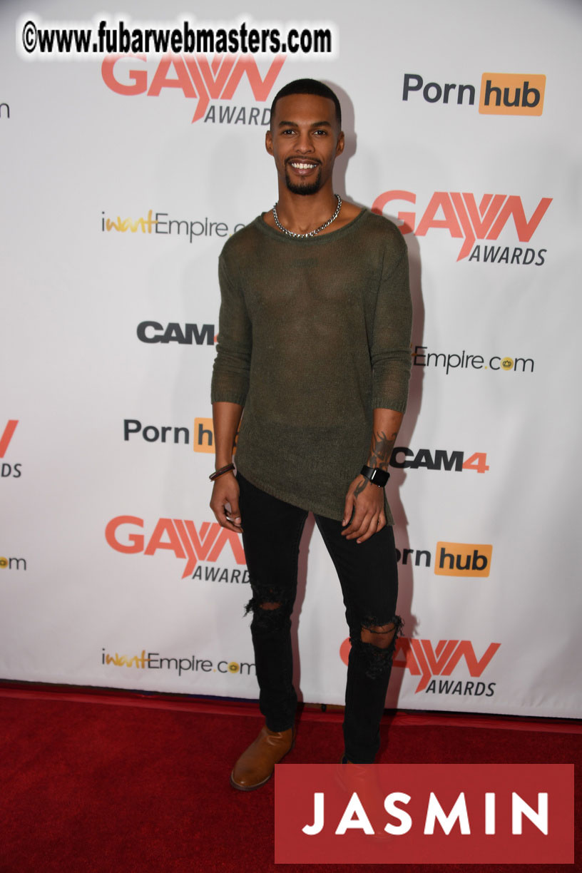 GayVN Awards