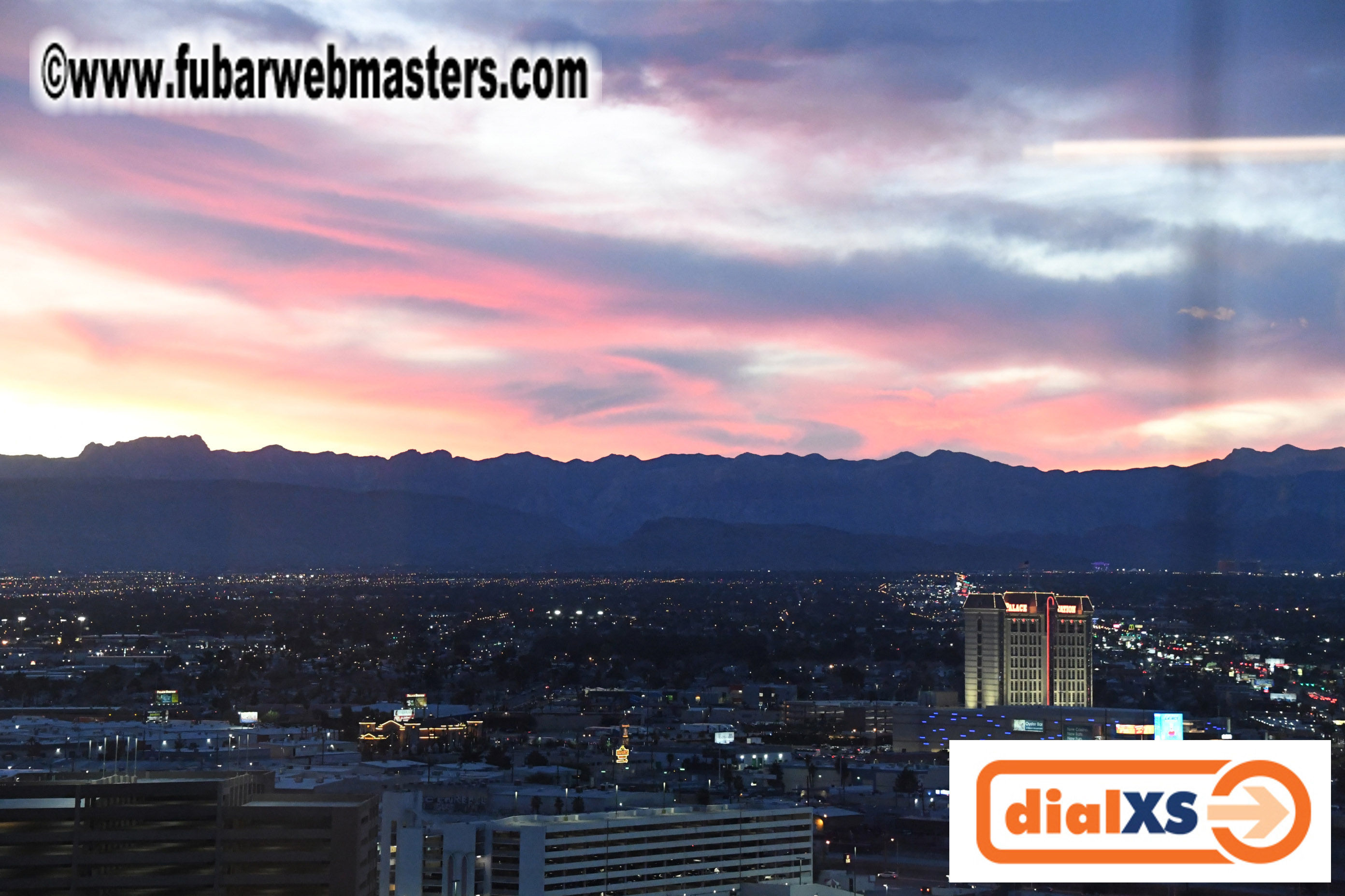 Vendo Whiskey Tasting