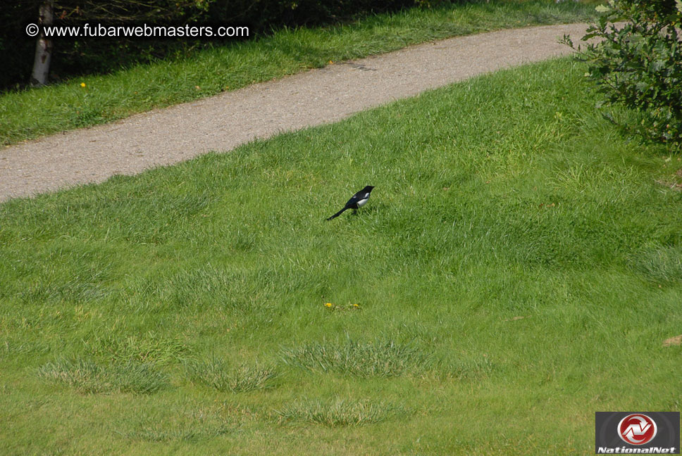 1st Annual Amsterdam Golf Tournament