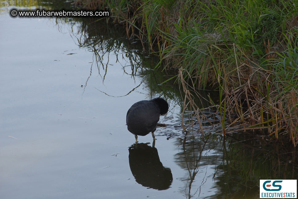 1st Annual Amsterdam Golf Tournament