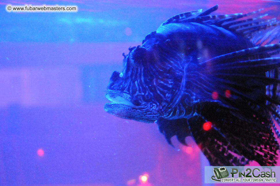 Closing Party at Gloss