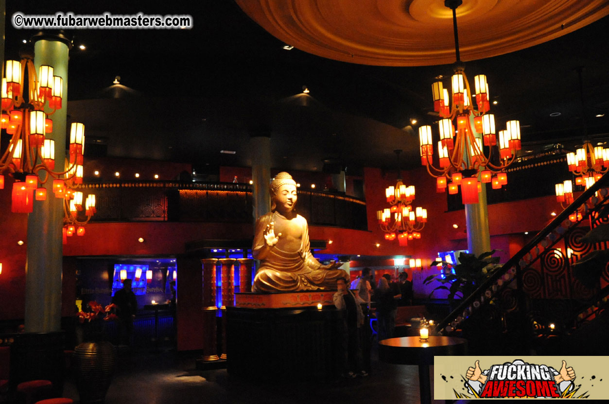 AVN Presents the OFFICIAL Party