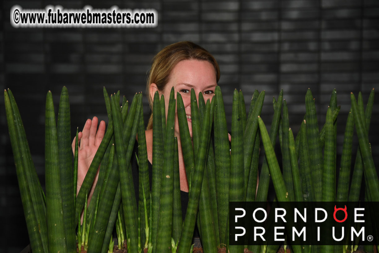 Webmaster Access 2018