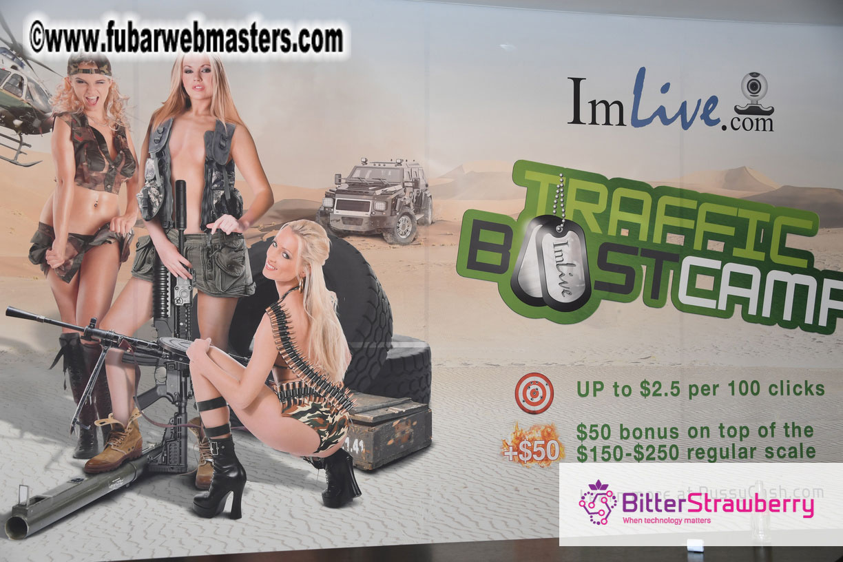 Webmaster Access 2018