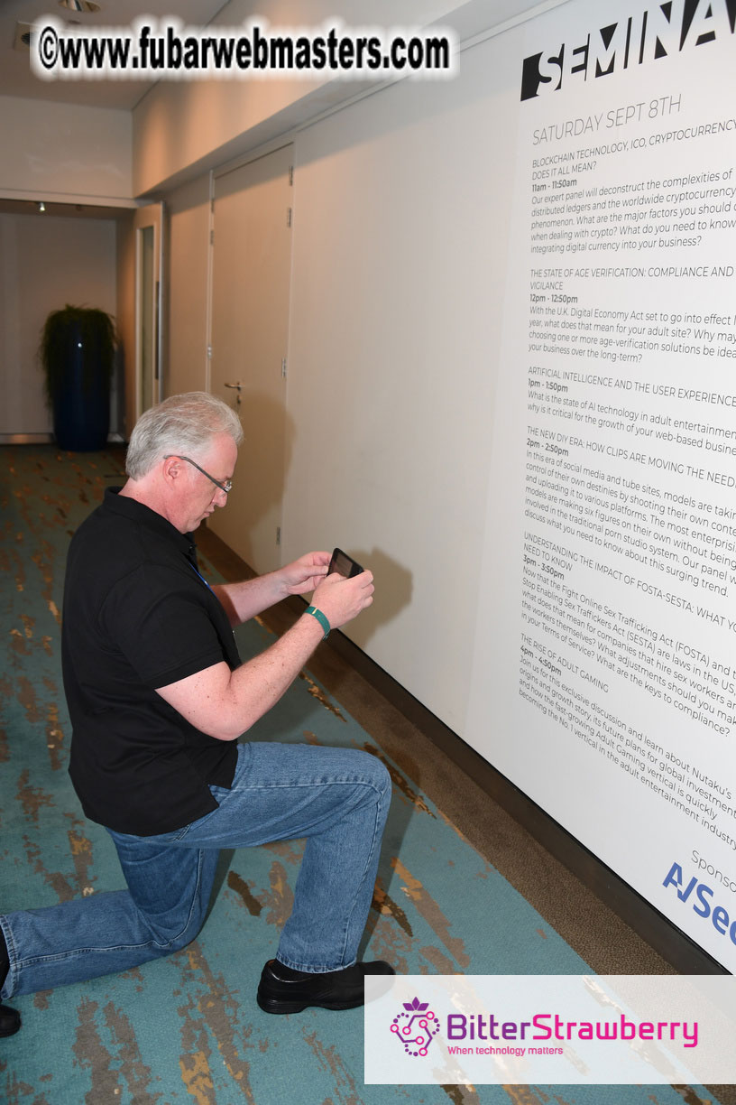 Webmaster Access 2018