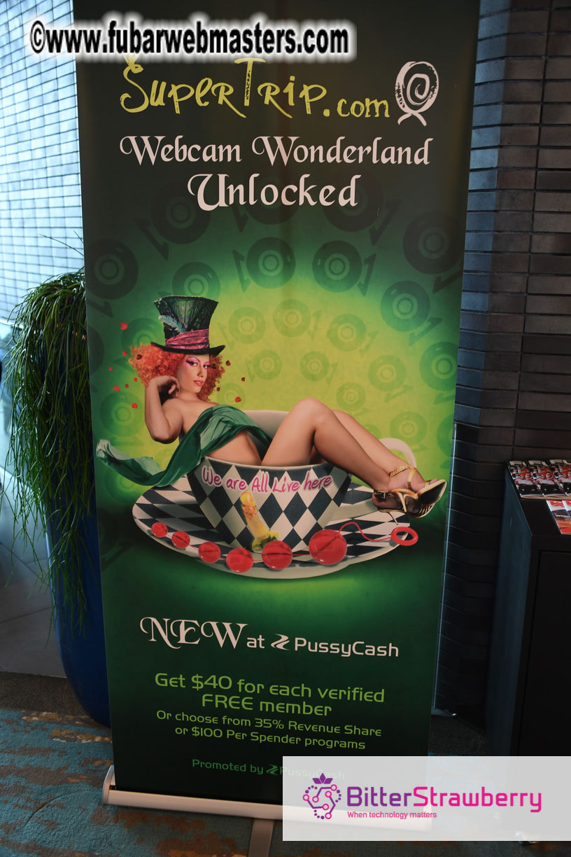 Webmaster Access 2018