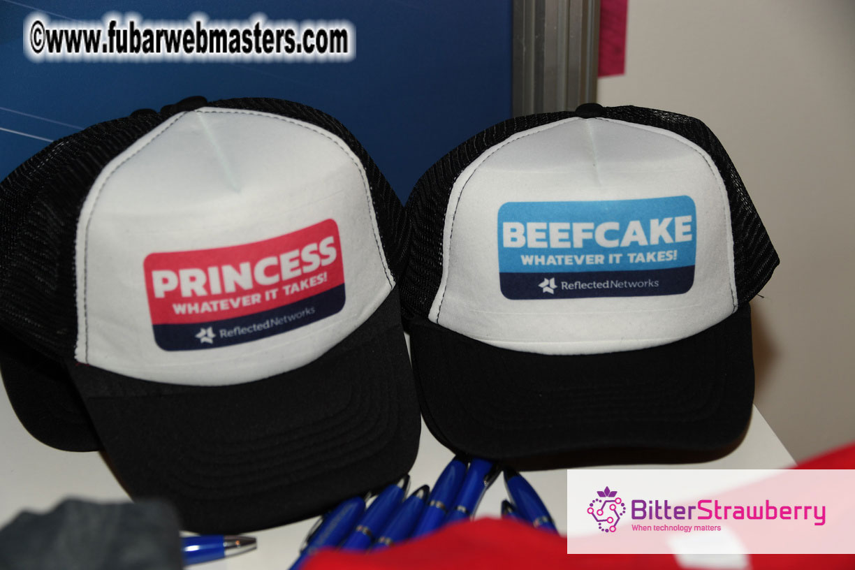 Webmaster Access 2018