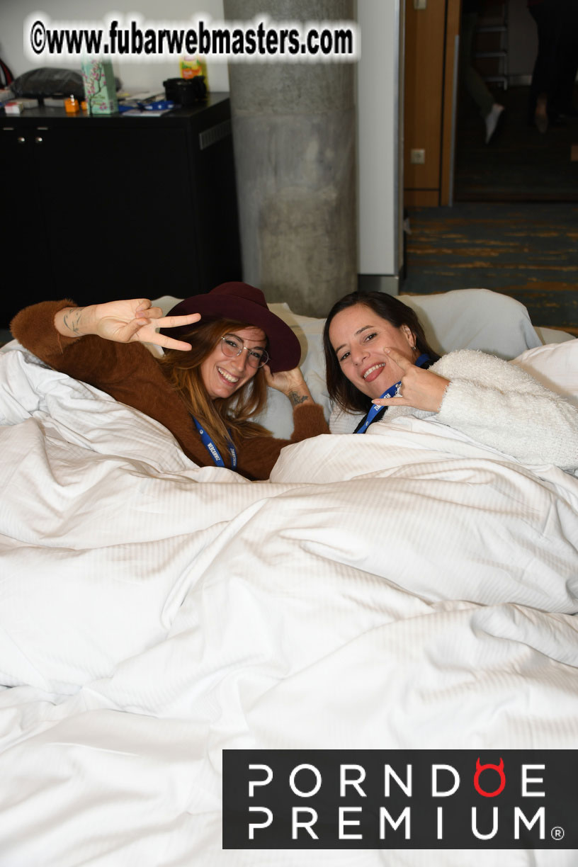 Webmaster Access 2018