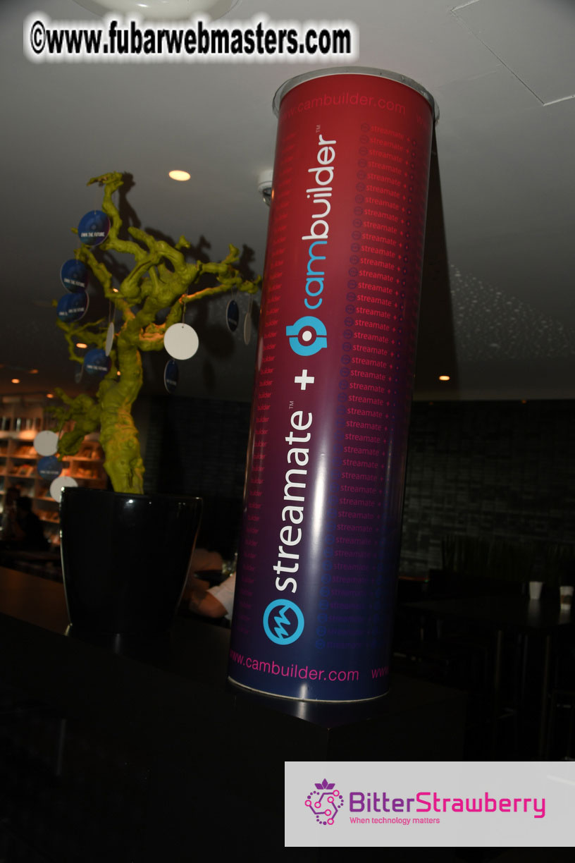 Webmaster Access 2018