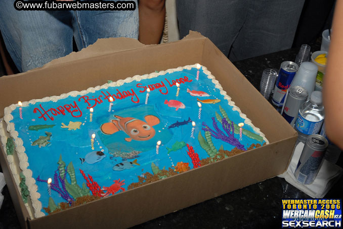 A Night Under the Stars