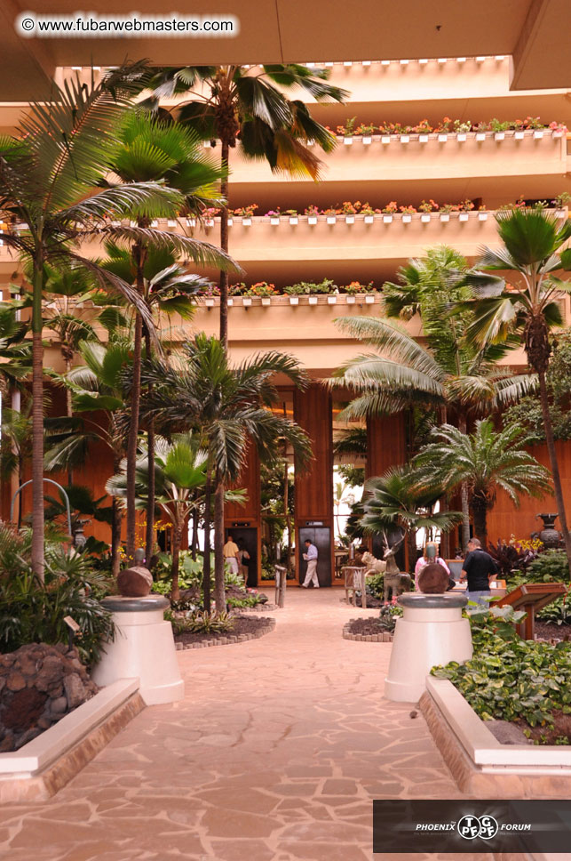 The Hyatt Maui