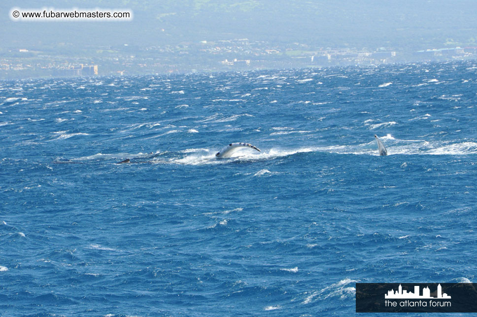 Sunset Dinner Cruise