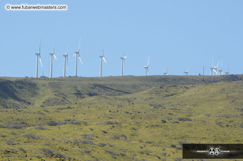 Sunset Dinner Cruise