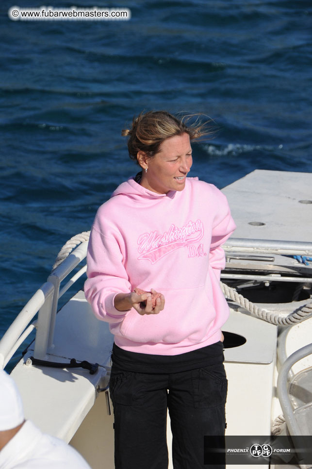 Sunset Dinner Cruise