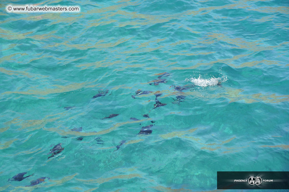 Sunset Dinner Cruise