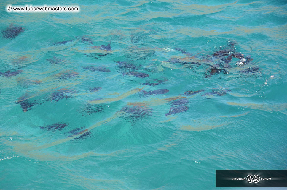 Sunset Dinner Cruise