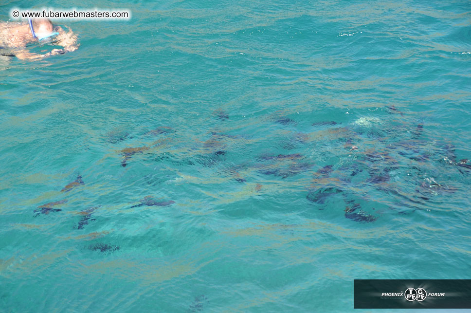 Sunset Dinner Cruise