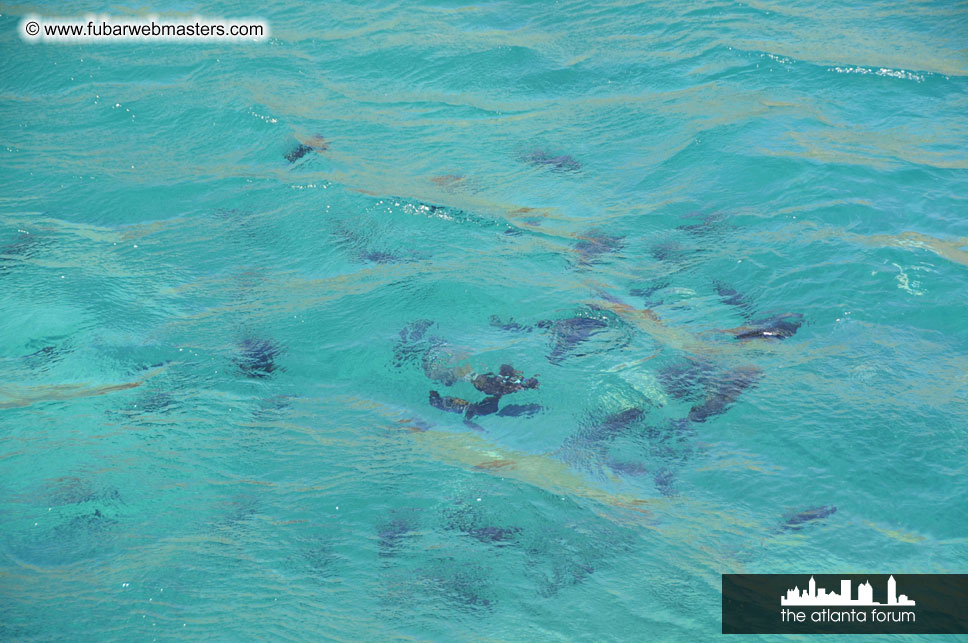 Sunset Dinner Cruise