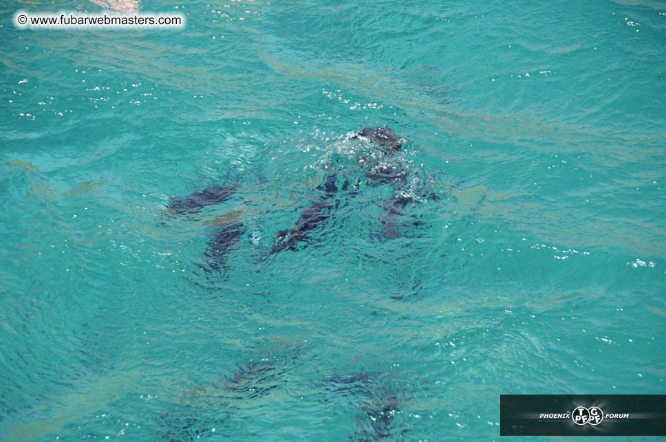 Sunset Dinner Cruise