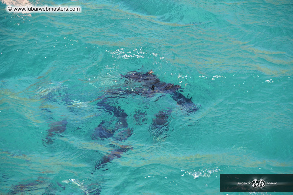 Sunset Dinner Cruise