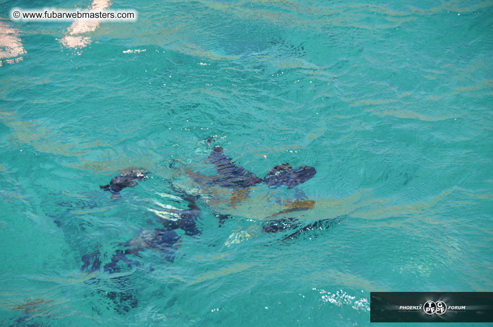 Sunset Dinner Cruise