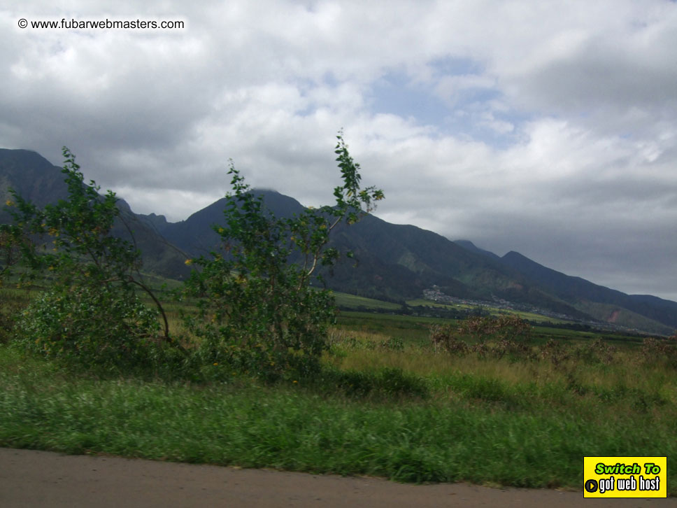 GoodGirl & Baddog's Hawaii Photos