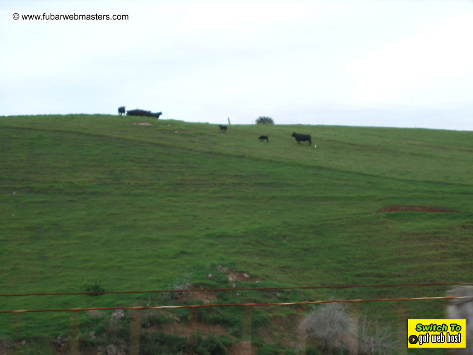 GoodGirl & Baddog's Hawaii Photos