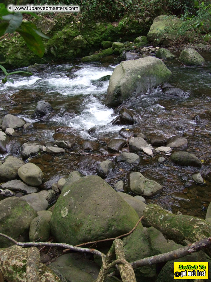 GoodGirl & Baddog's Hawaii Photos