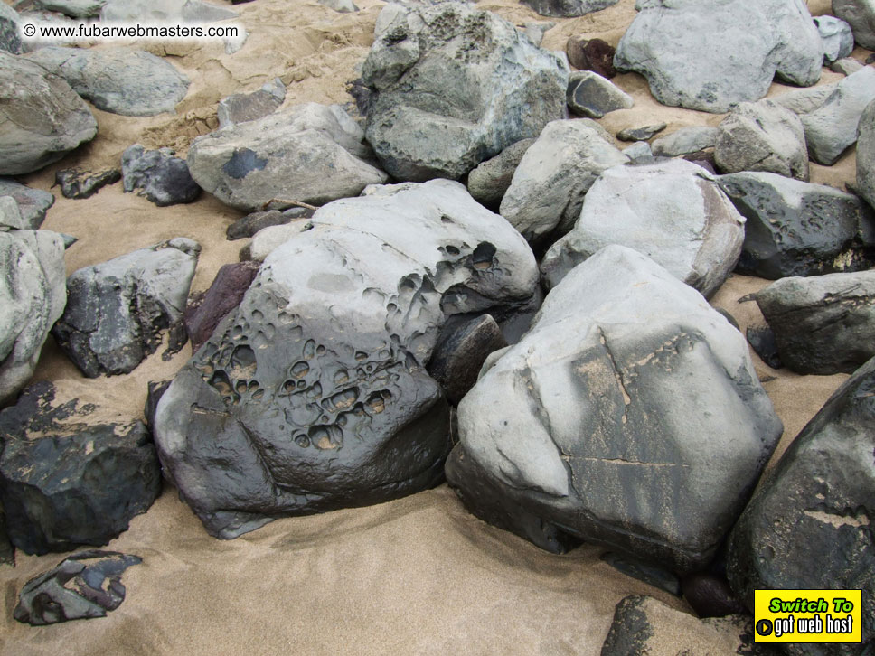 GoodGirl & Baddog's Hawaii Photos