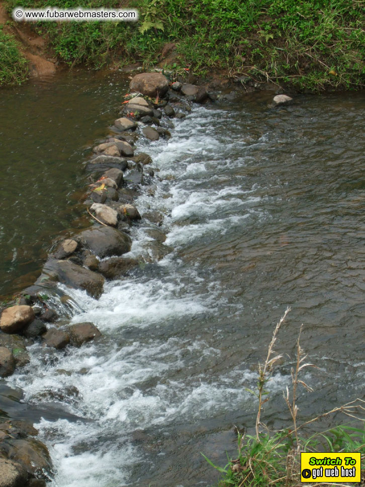 GoodGirl & Baddog's Hawaii Photos