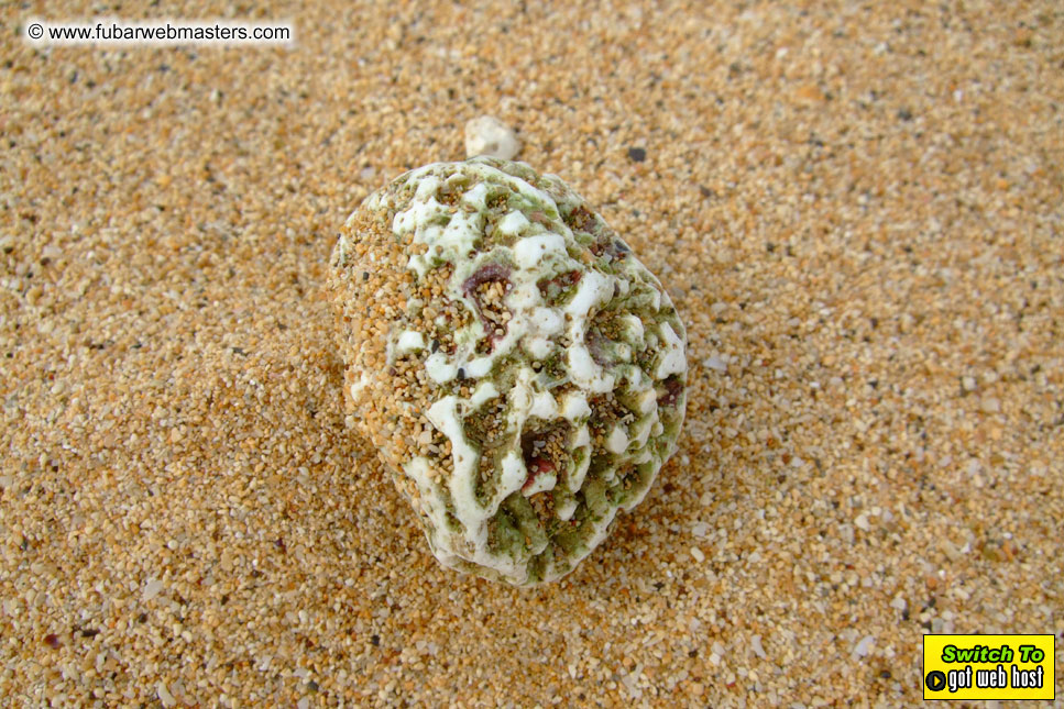 GoodGirl & Baddog's Hawaii Photos