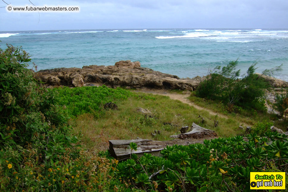 GoodGirl & Baddog's Hawaii Photos