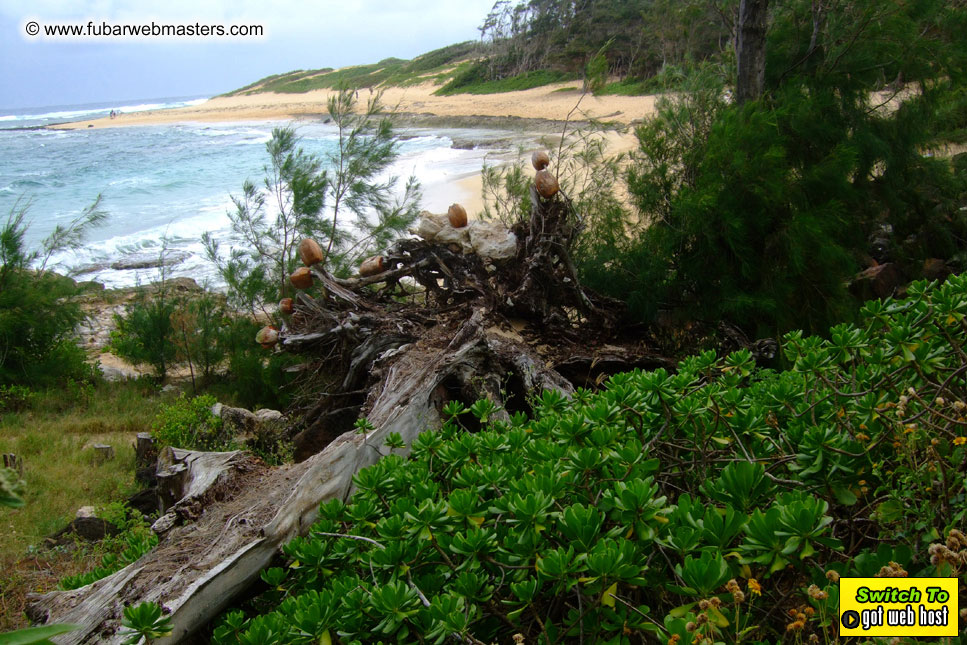 GoodGirl & Baddog's Hawaii Photos