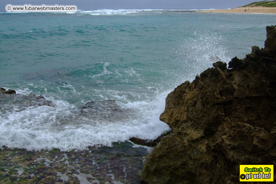 GoodGirl & Baddog's Hawaii Photos