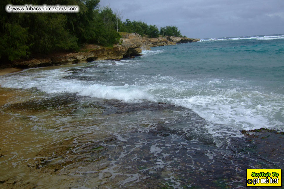 GoodGirl & Baddog's Hawaii Photos