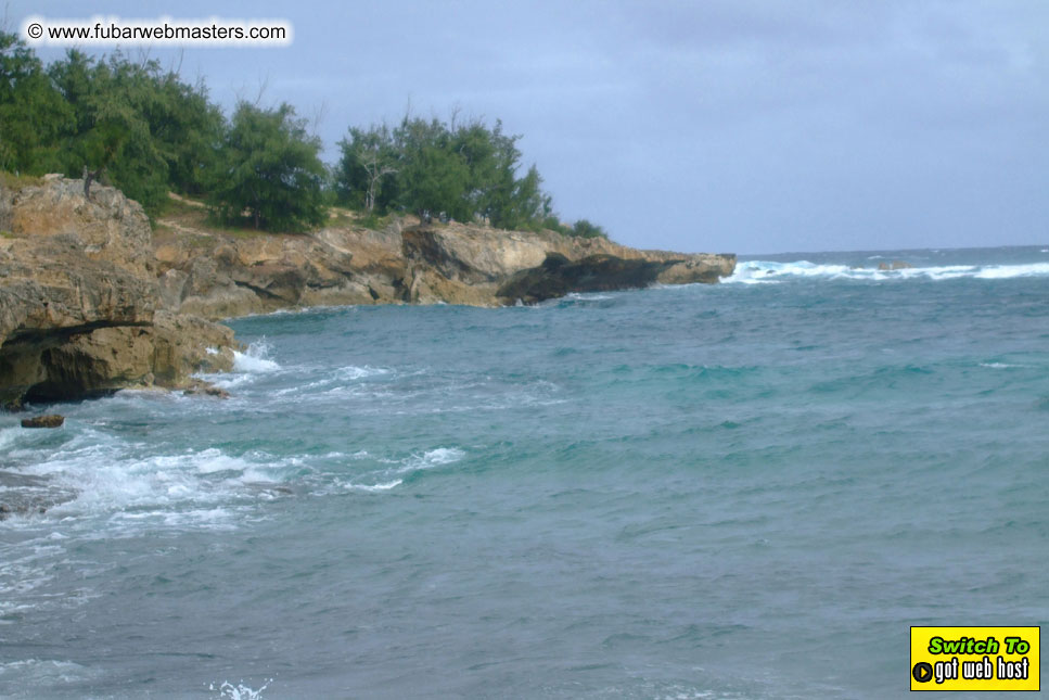 GoodGirl & Baddog's Hawaii Photos